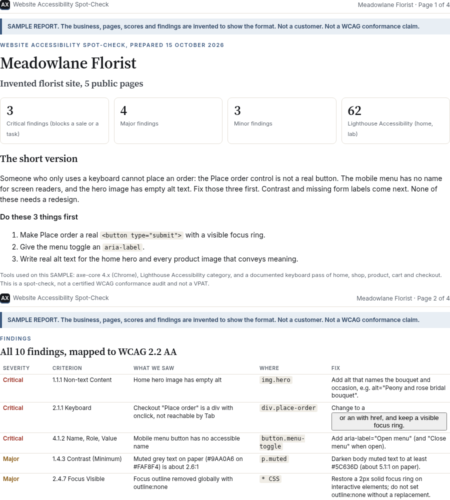 SAMPLE accessibility spot-check page showing severity counts